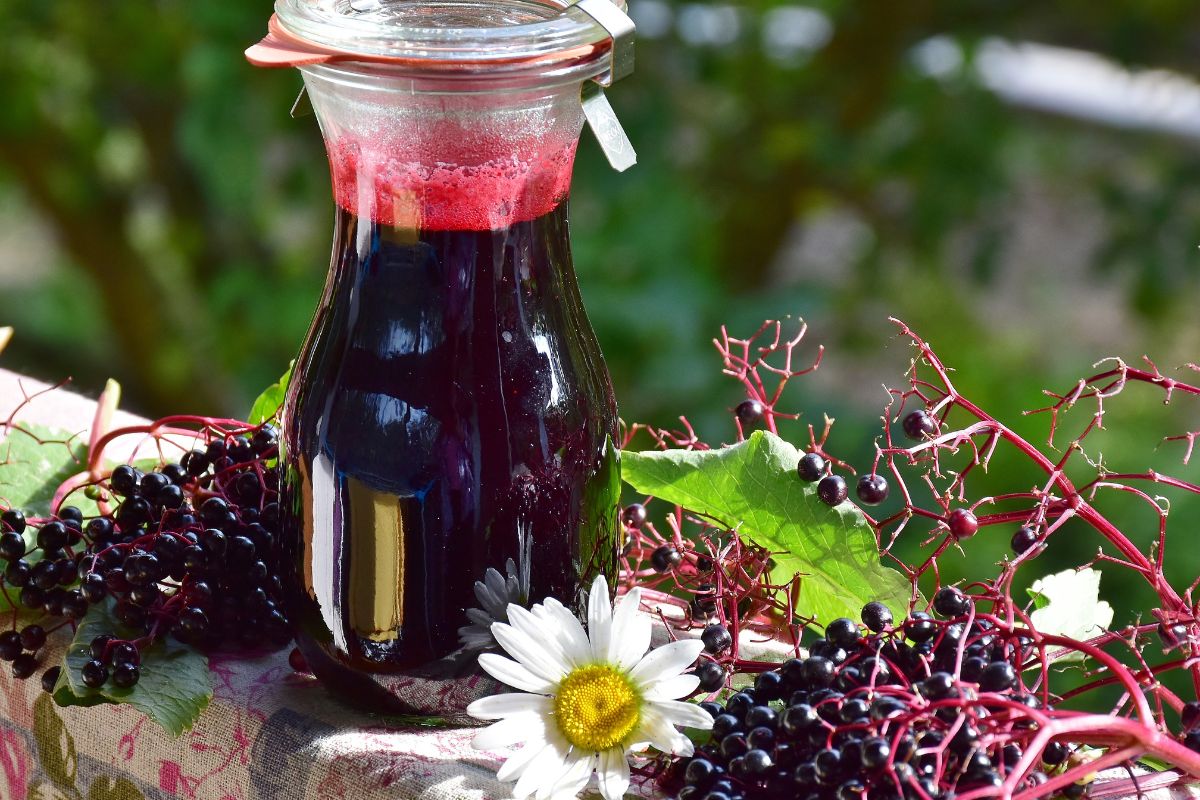 Elderberry juice - Deliciousness