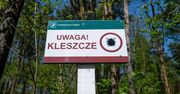 300 przypadków boreliozy w Lubuskiem. Bąblowica też groźna