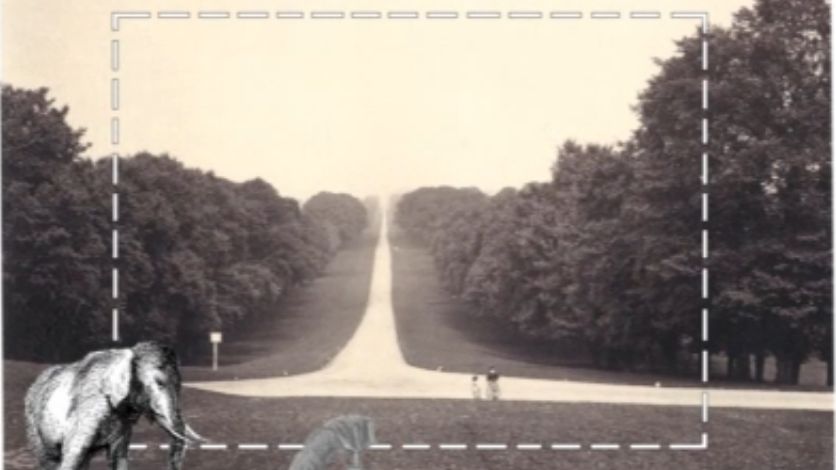 Każdy fotograf kłamie? Errol Morris o prawdzie w fotografii [wideo] 1