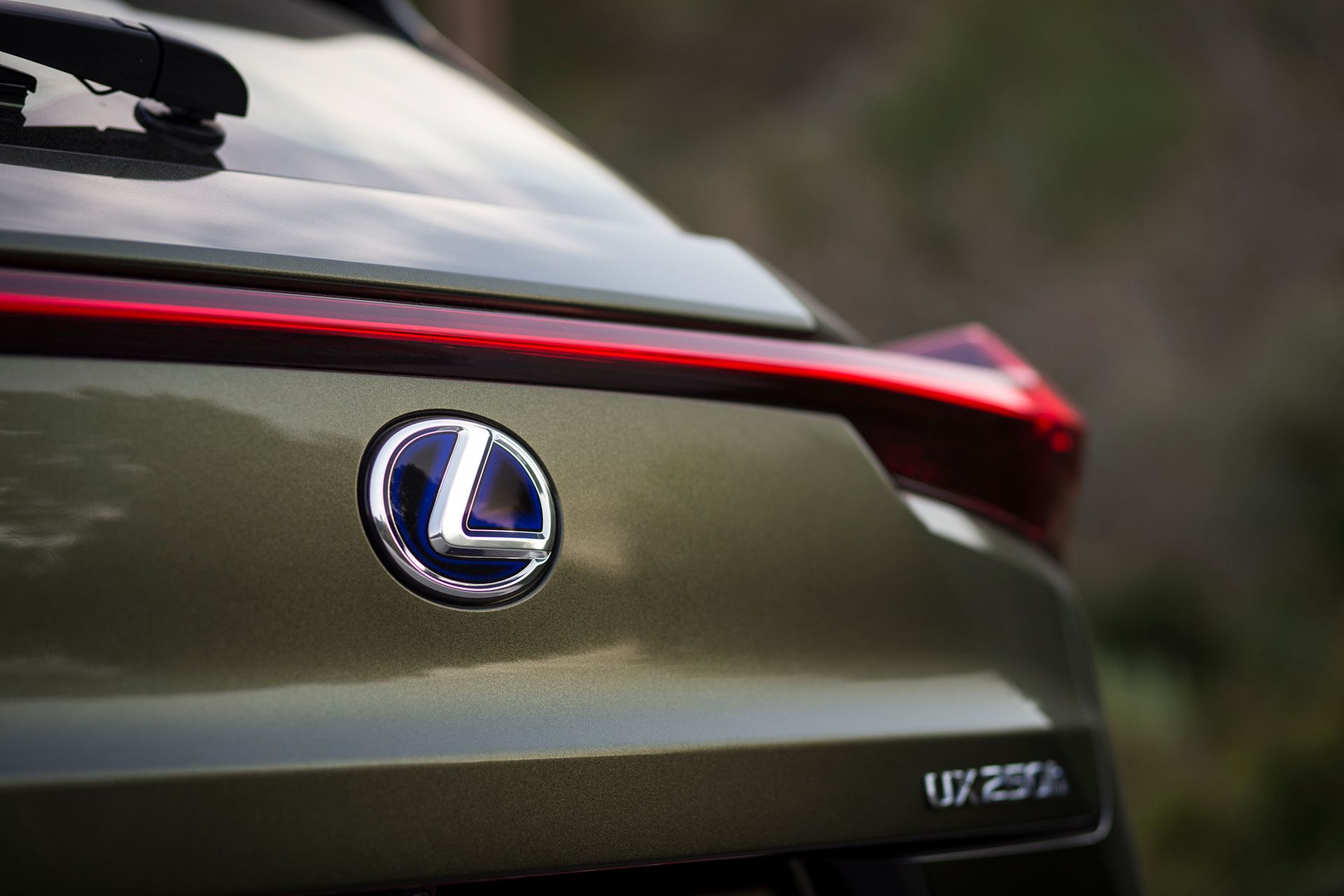 Lexus UX 250h (2019) (fot. Mateusz Żuchowski)
