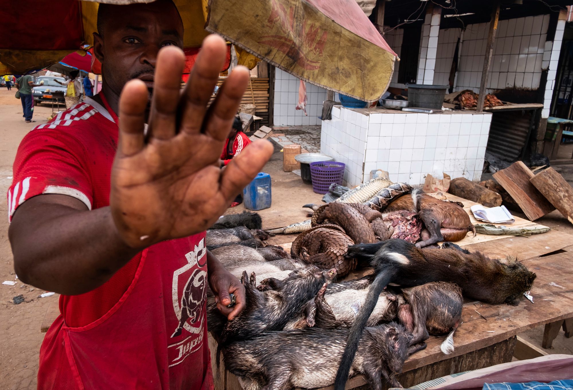 Znamy nazwiska nominowanych do World Press Photo 2020. Jest wśród nich Tomek Kaczor 104