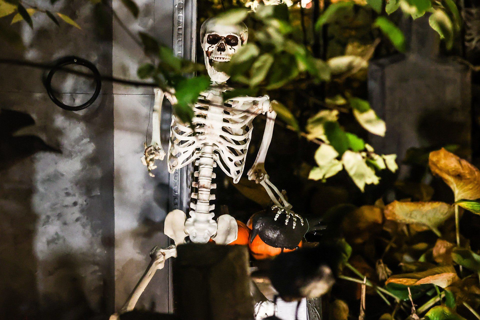 Willa Kirscha w gdańskim Wrzeszczu w halloweenowej aranżacji.