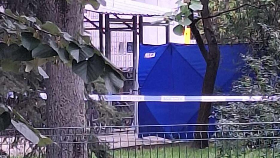 Nieoznakowane miejsce z niebieską osłoną, otoczone zielenią, zabezpieczone taśmą policyjną.