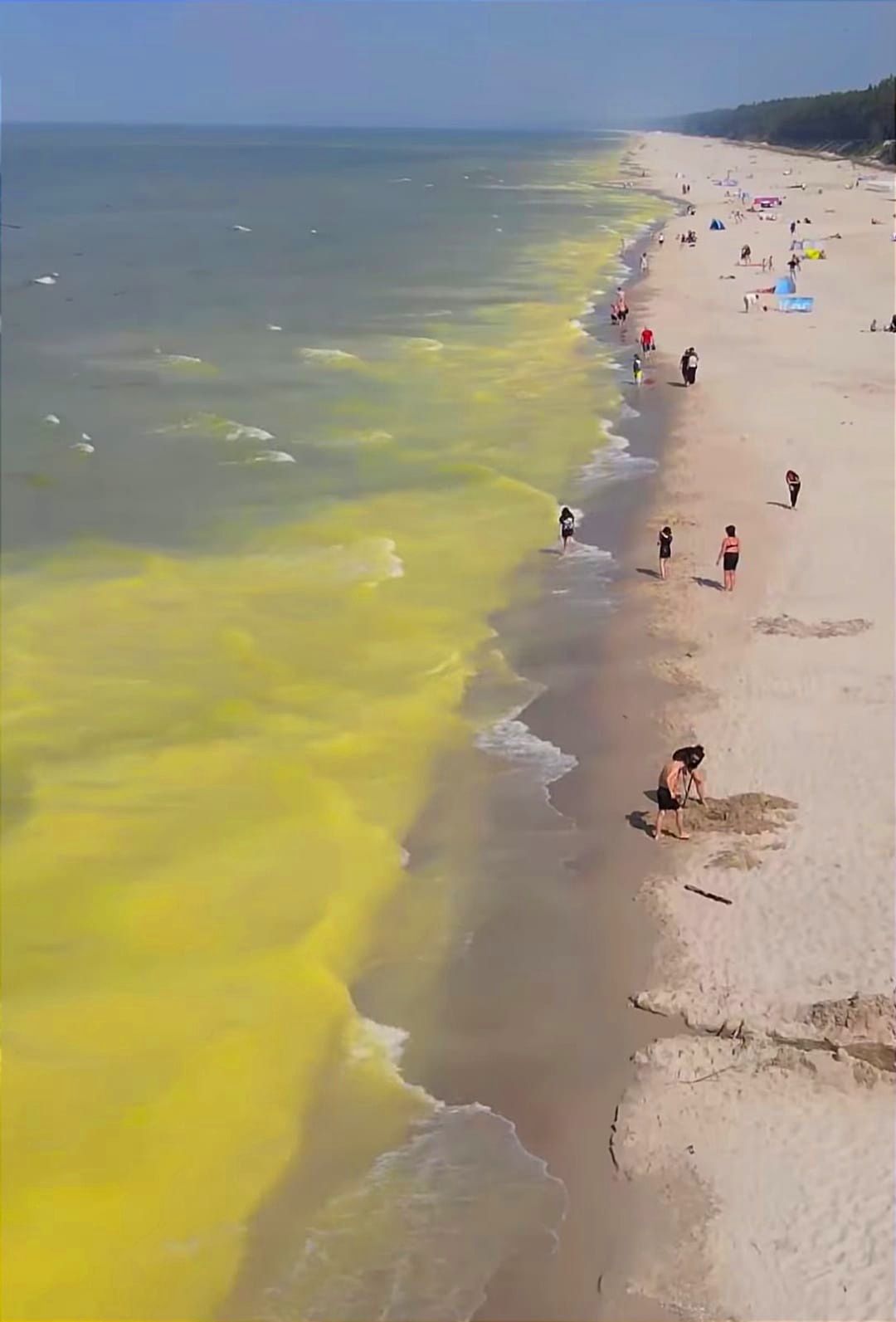 Woda w Bałtyku zmieniła kolor. Teraz jest żółta