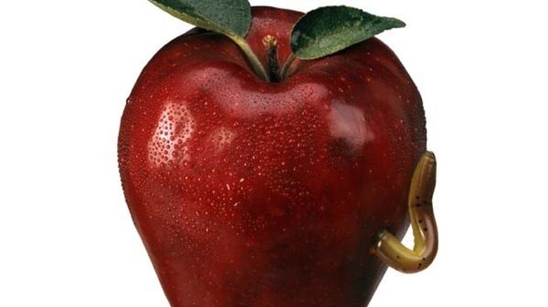 Google Phone to fake. Apple sieje plotki? 1