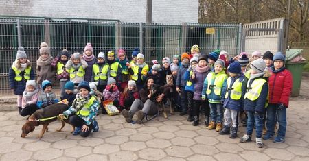 Las zamknięty w słoiku