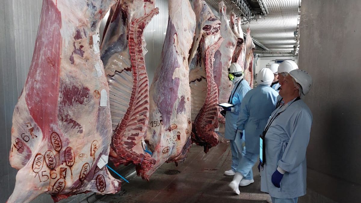 Od ponad 20 lat taką klasyfikację prowadzi Irlandia