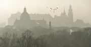 To miasto jest nowym liderem smogu w Polsce. Zdetronizowało Kraków
