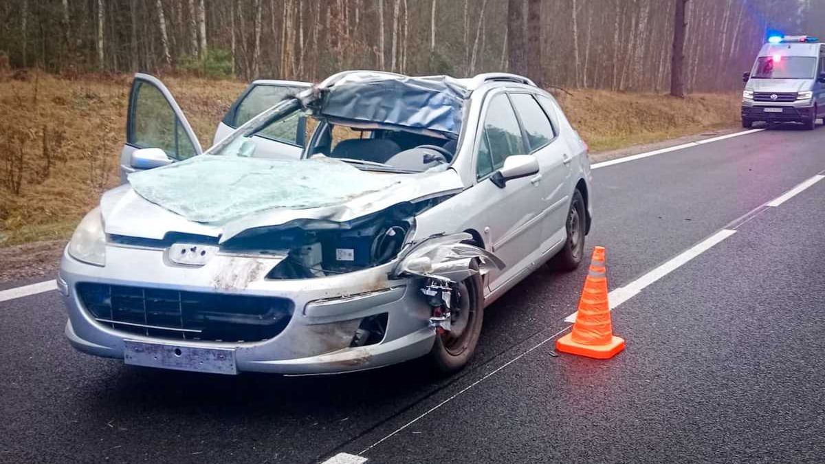 Peugeot po zderzeniu z łosiem