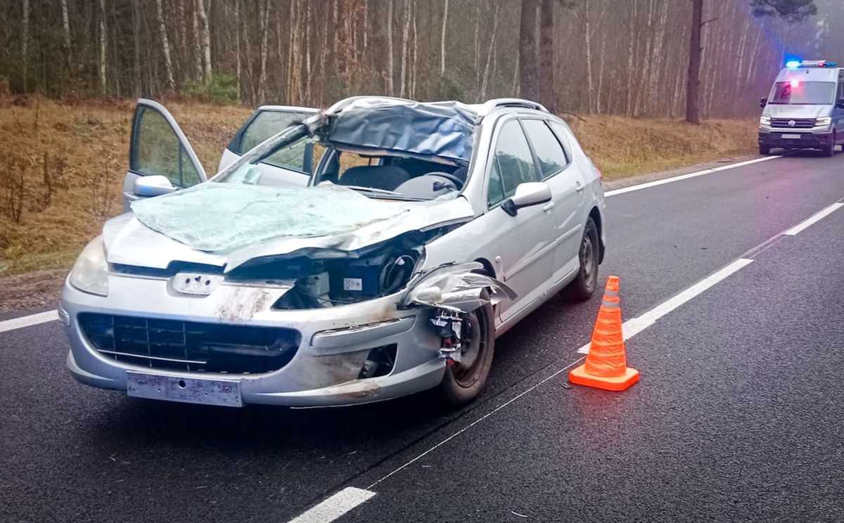 Tyle zostało z auta. Pokazali zdjęcie po zderzeniu z łosiem