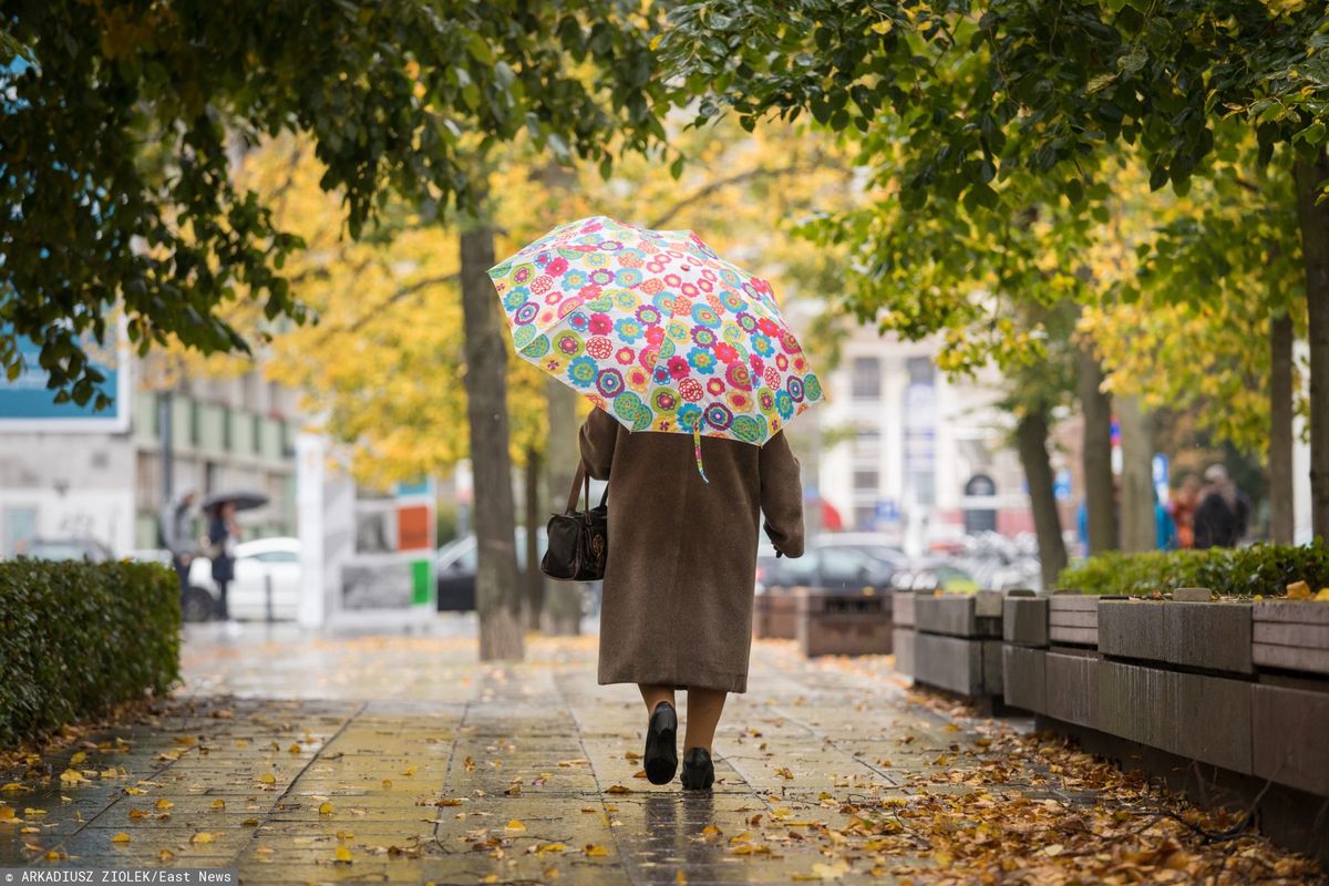 Warszawa. Pogoda na czwartek