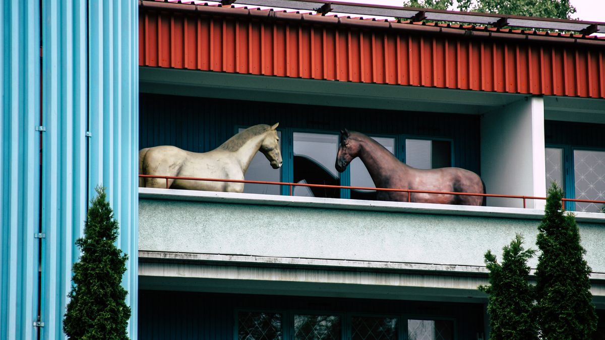 Uliczne rozmowy: Michał Orliński 1