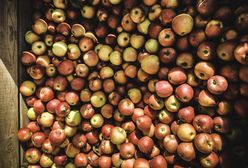 Francja. Tajemnicze zaginięcie Polaka