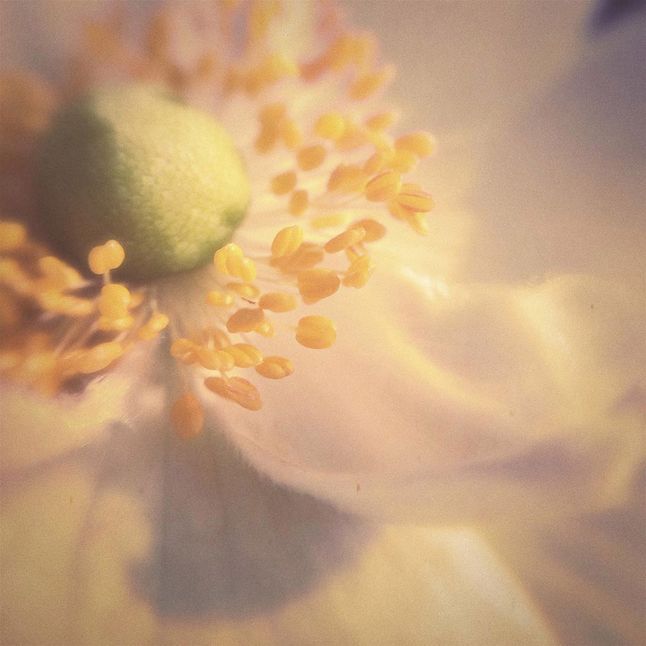 FLORAL #2