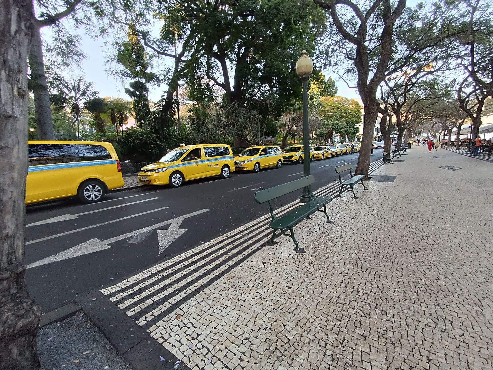 Madera: Samochody Taxi w Funchal