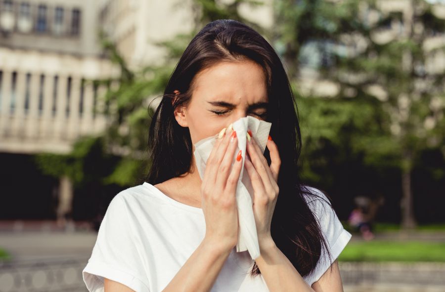 How ragweed allergy develops. Doctors' explanations 