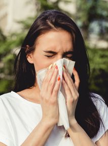 How ragweed allergy develops. Doctors' explanations