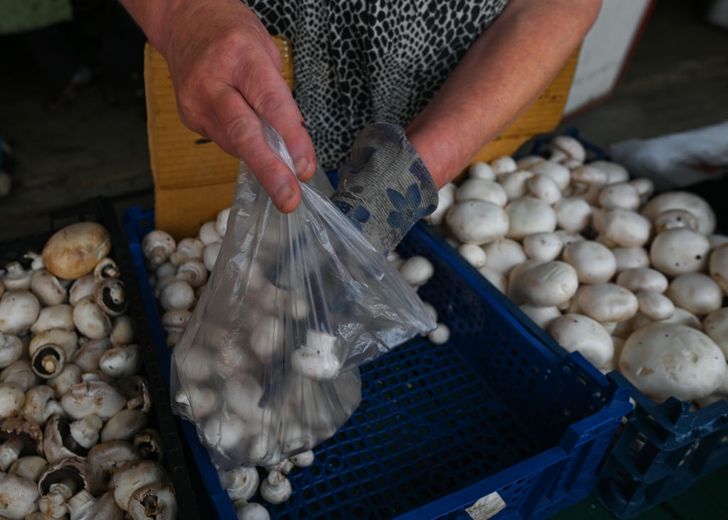 Od kiedy dziecko może jeść grzyby? Ekspertka ma ważną przestrogę