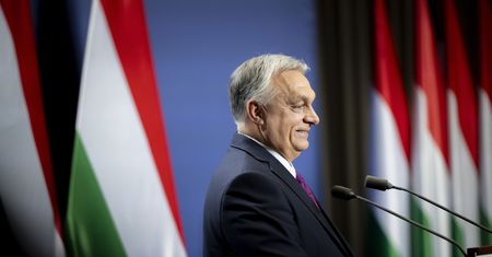 Ograniczenia na Węgrzech ws. pryszczycy. Orban nie zamierza czekać