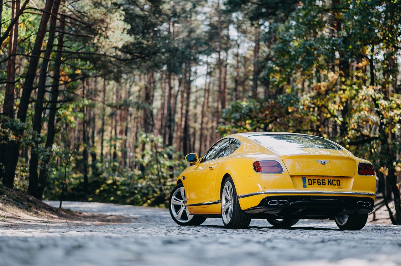 Bentley Continental GT V8 S (2017)