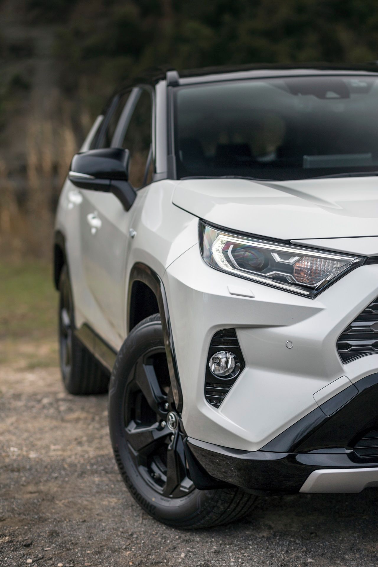 Toyota RAV4 (2019) (fot. Mateusz Żuchowski)