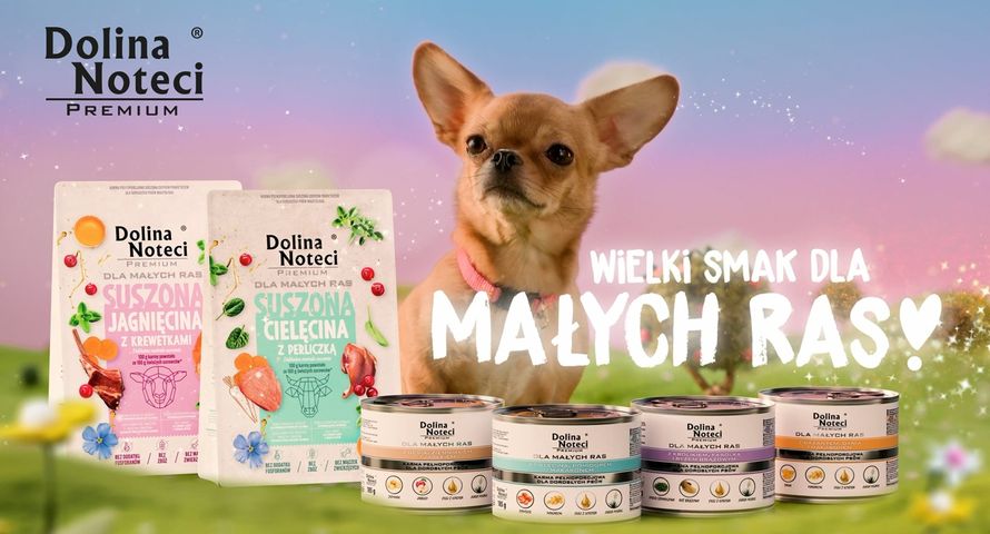 Dolina Noteci promuje karmę dla małych psów