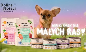 Dolina Noteci promuje karmę dla małych psów
