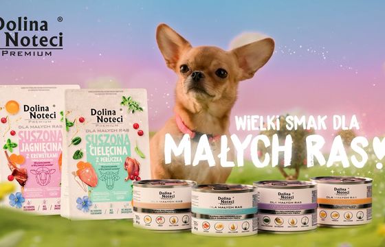 Dolina Noteci promuje karmę dla małych psów