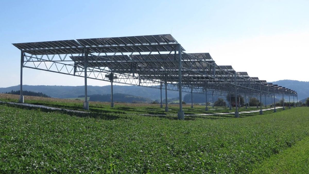 Agrofotowoltaika. Instalacja fotowoltaiczna na polu uprawnym