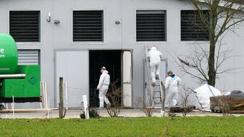 Kujawsko-Pomorskie: Kolejne ognisko rzekomego pomoru drobiu. Fala zakażeń niepokoi drobiarzy