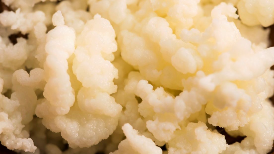 Czym jest fermentacja mlekowa?