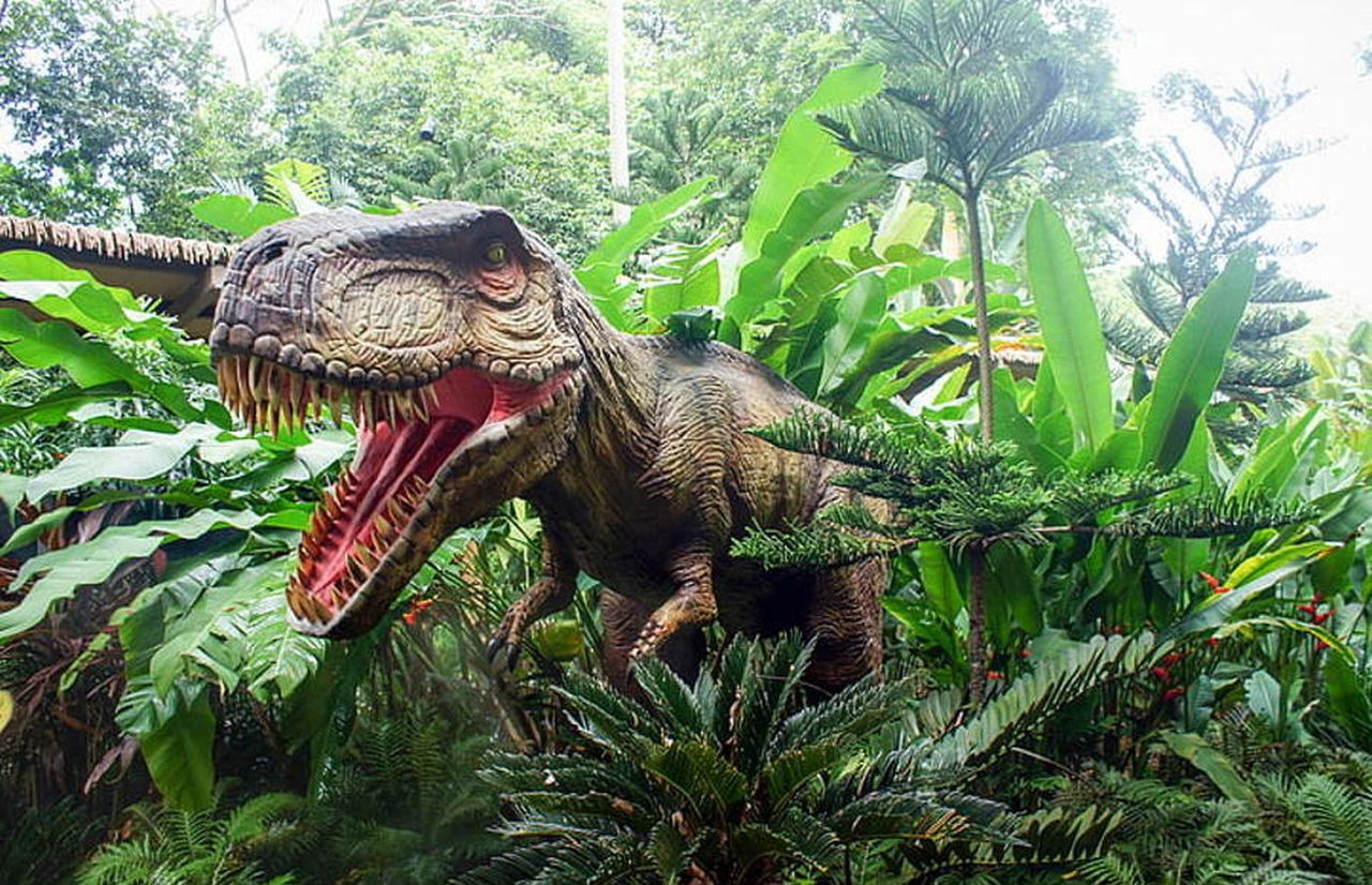 Dinozaury miały wpływ na długość życia ludzi?