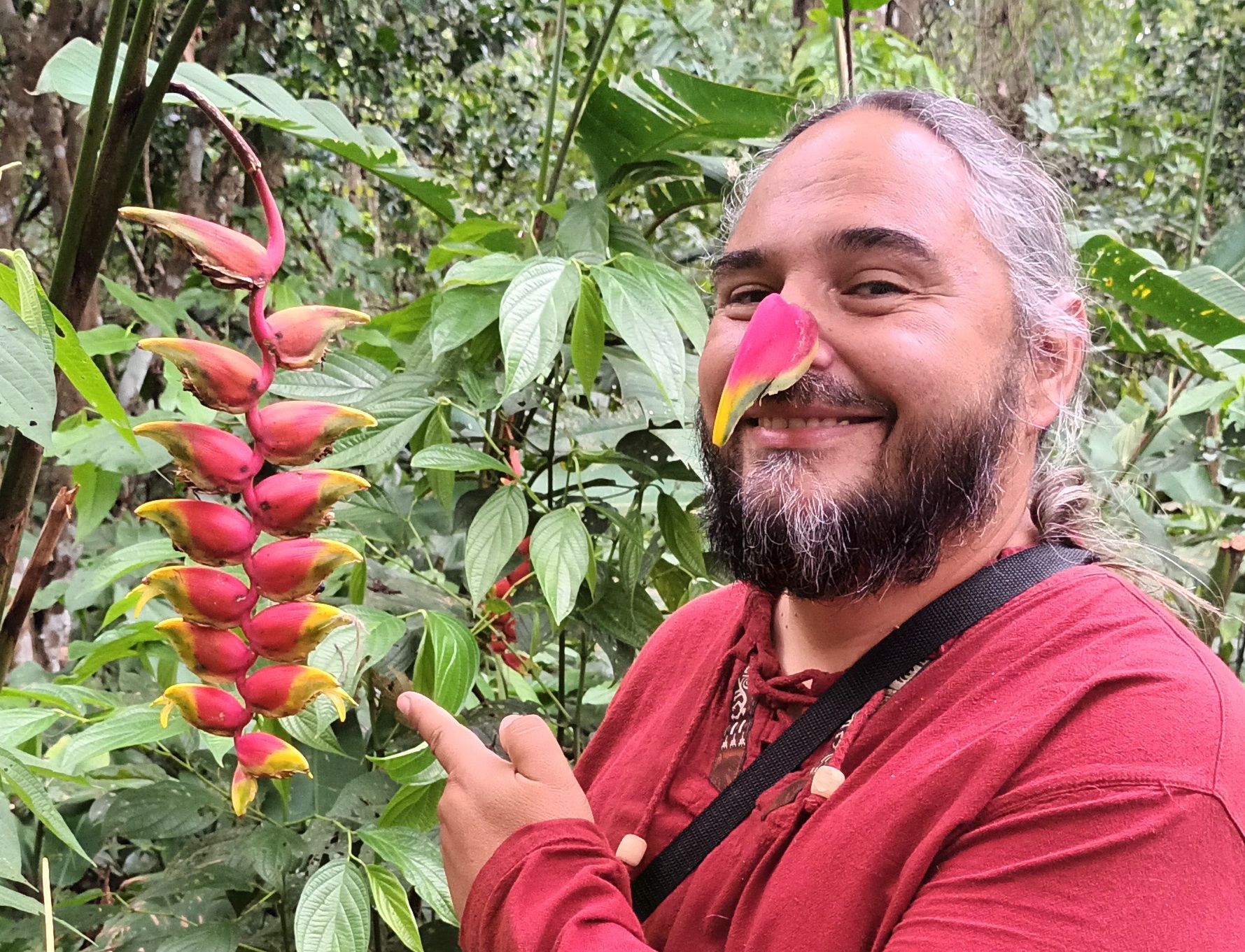 Heliconie w Amazonii