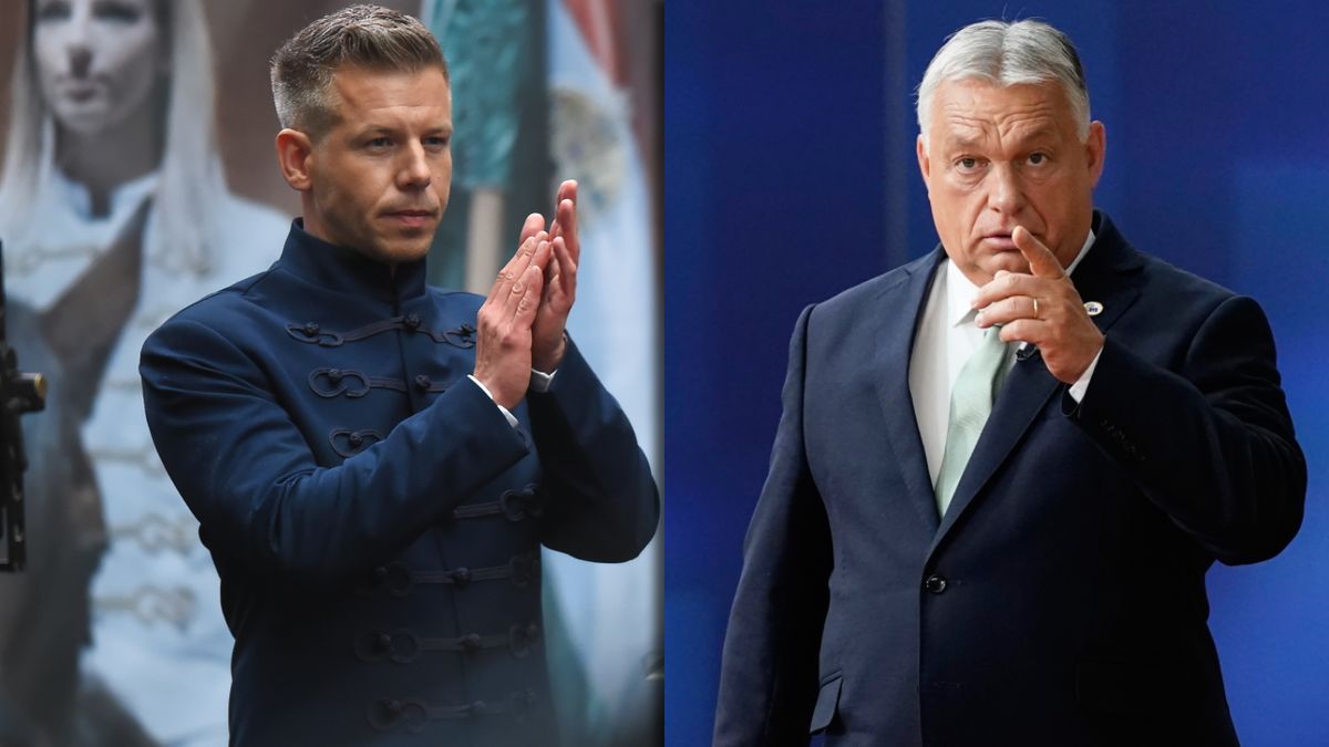 Peter Magyar, lider głównej siły opozycyjnej na Węgrzech i Vikto