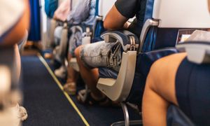 Kradną je z samolotu, a potem sprzedają. Sztuka nawet 800 zł