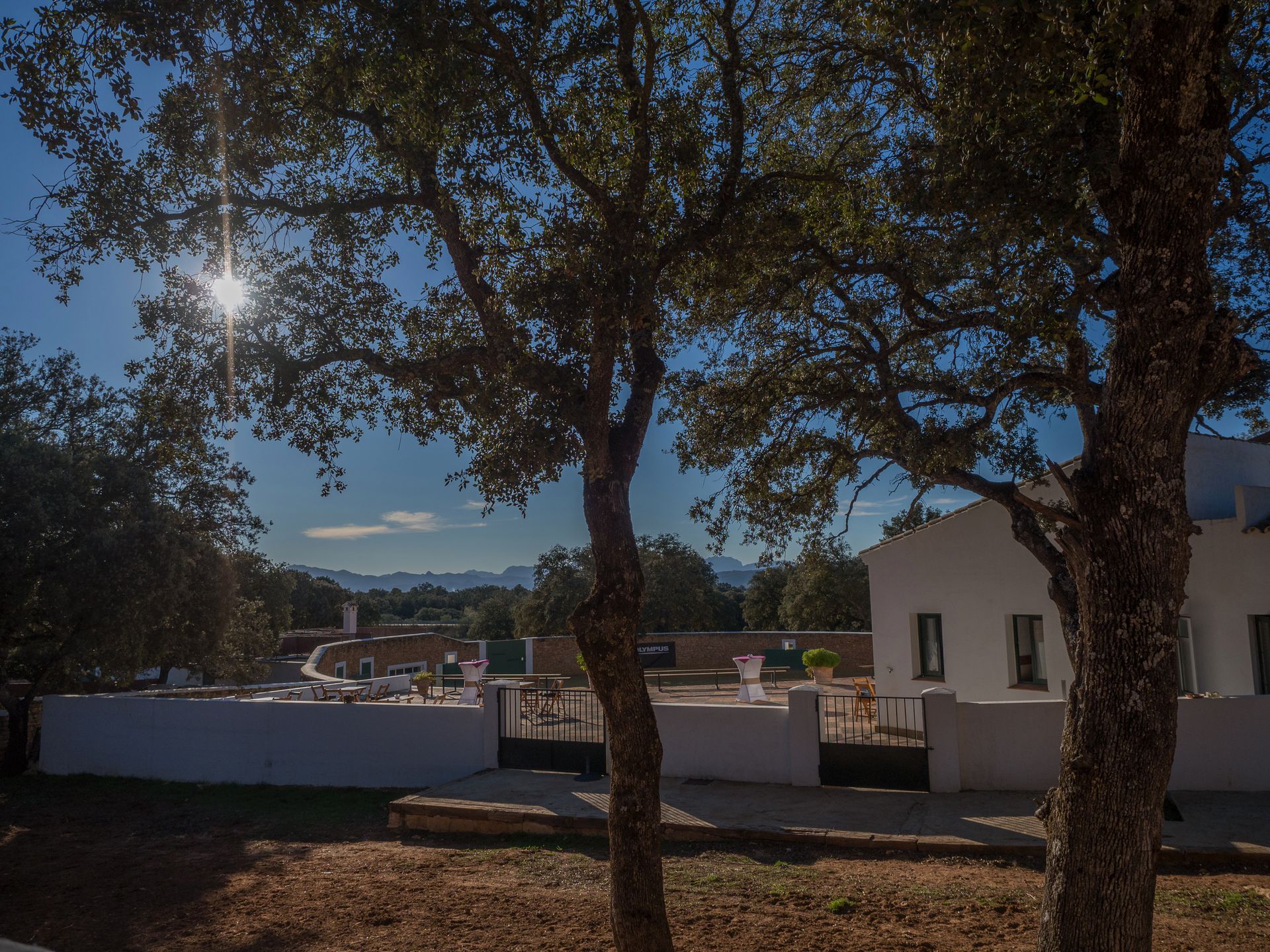 Olympus OM-D E-M1 Mark II - najszybszy na rynku [test] 106
