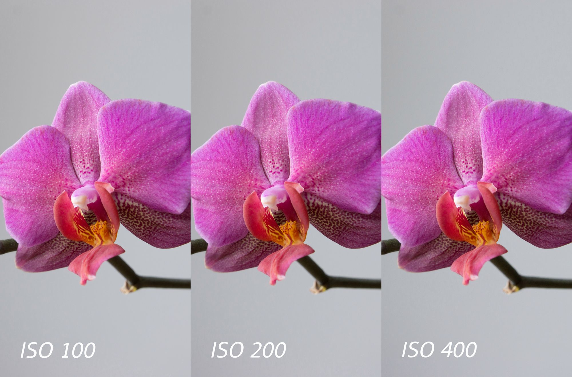 Sony SLT-A77 - szybciej, więcej, lepiej? [wideotest] 14
