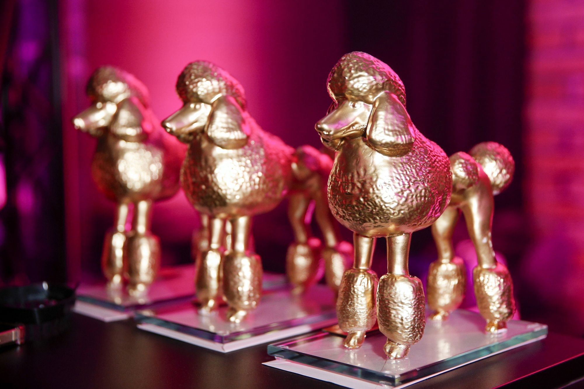 Statuetki rozdawane podczas Pudelek Pink Party
