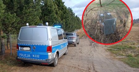 Klatka, a w niej martwy kot. Makabryczne odkrycie nieopodal Wejherowa