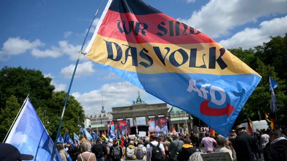 AFD z rekordem poparcia
