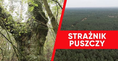 "To kluczowe zadanie". Wirtualna Polska wspiera strażników puszczy