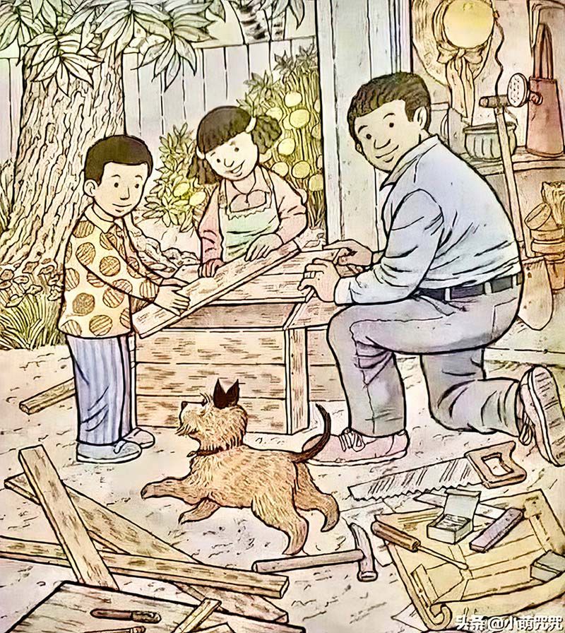 Znajdź ukryte zwierzęta