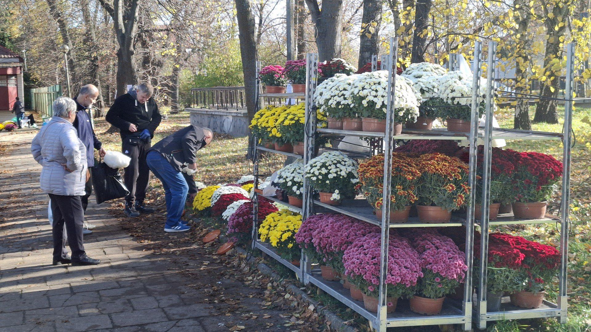 Cmentarz Mogilski w Krakowie