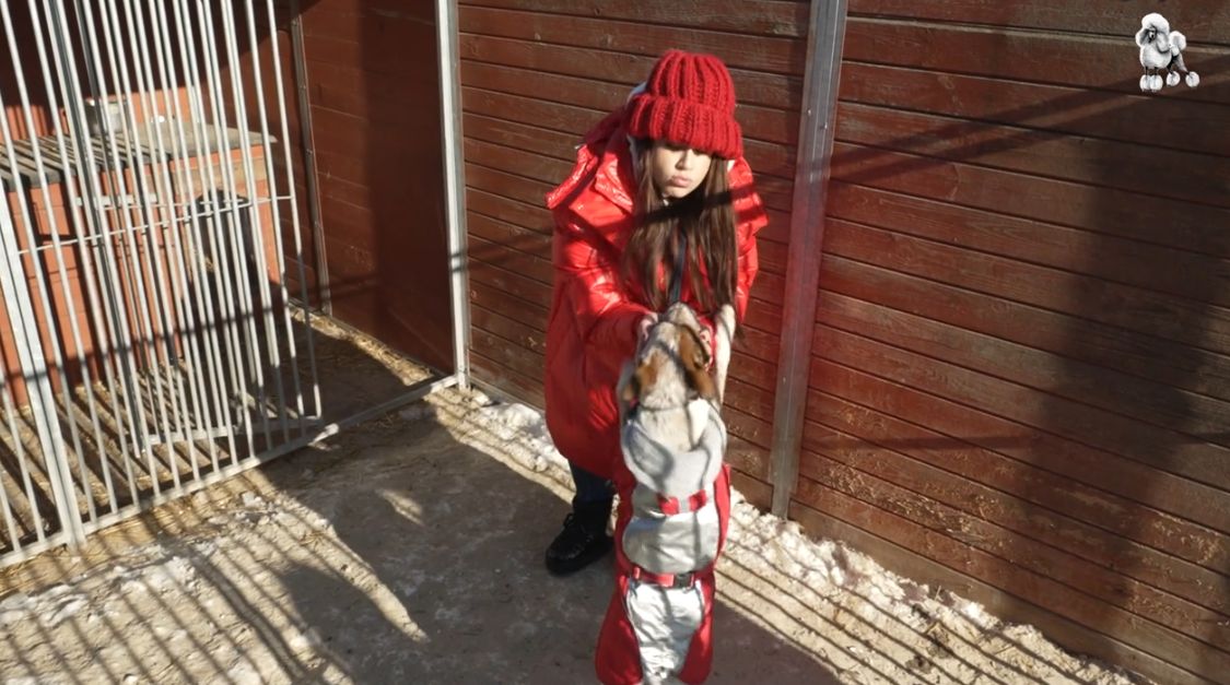 Odwiedziliśmy schronisko w Celestynowie