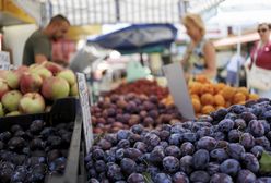 Do Polski wracają przymrozki. Sadownicy drżą ze strachu: sady są puste