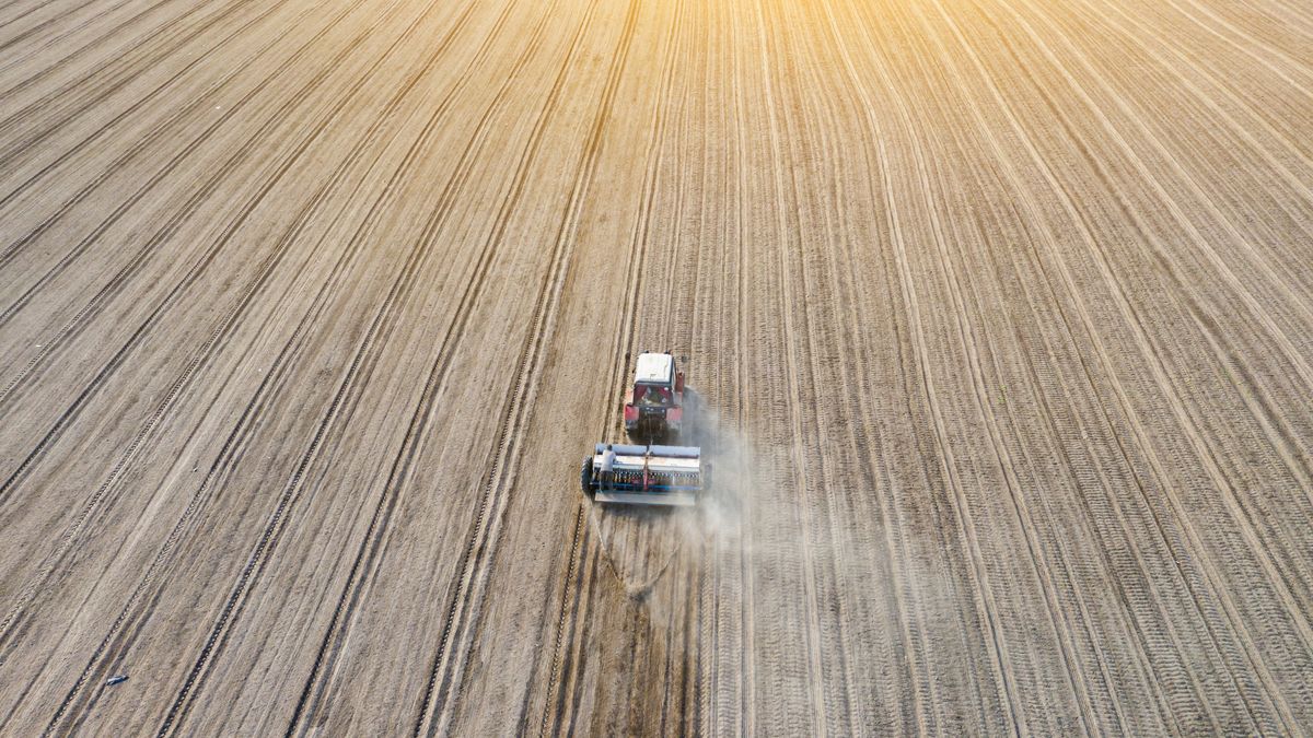 Aerial view of tractor at sunset on the field
Aerial view of tractor with mounted seeder performing direct seeding of crops on plowed agricultural field. Farmer is using farming machinery for planting process, top view
Anton Petrus