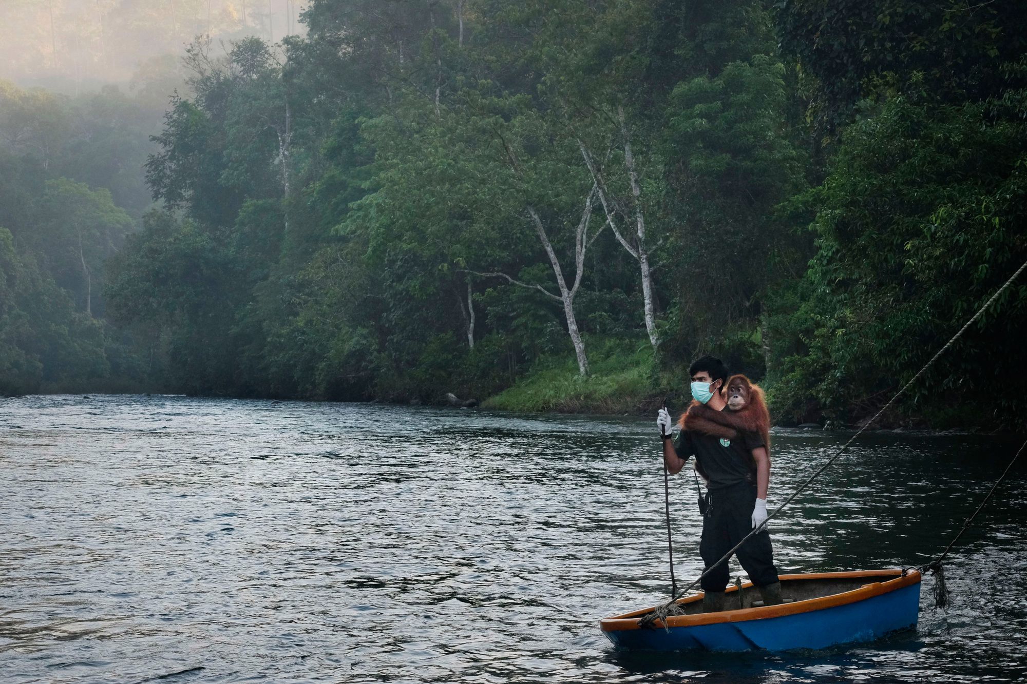 Znamy nazwiska nominowanych do World Press Photo 2020. Jest wśród nich Tomek Kaczor 103