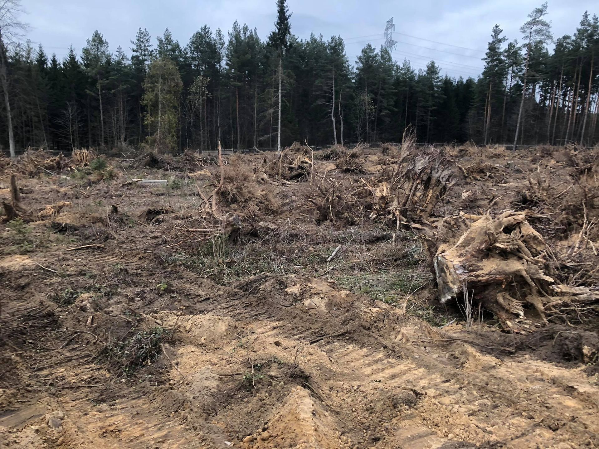 Cmentarz w Nowej Wsi Ełckiej 