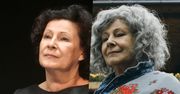 Dorota Kolak dla WP: "Moja bohaterka ma w nosie to, co myślą o niej inni"