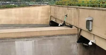 To pewnie miało być śmieszne. Straży miejskiej opadły ręce
